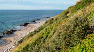 Stranden ved Heather Hill i Nordsjælland - sommerhusudlejning ved Vejby i Nordsjælland