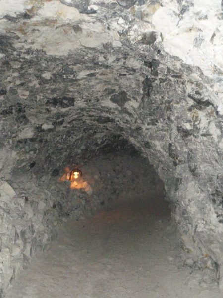 Kalkgruberne ved Daugbjerg ved Skive