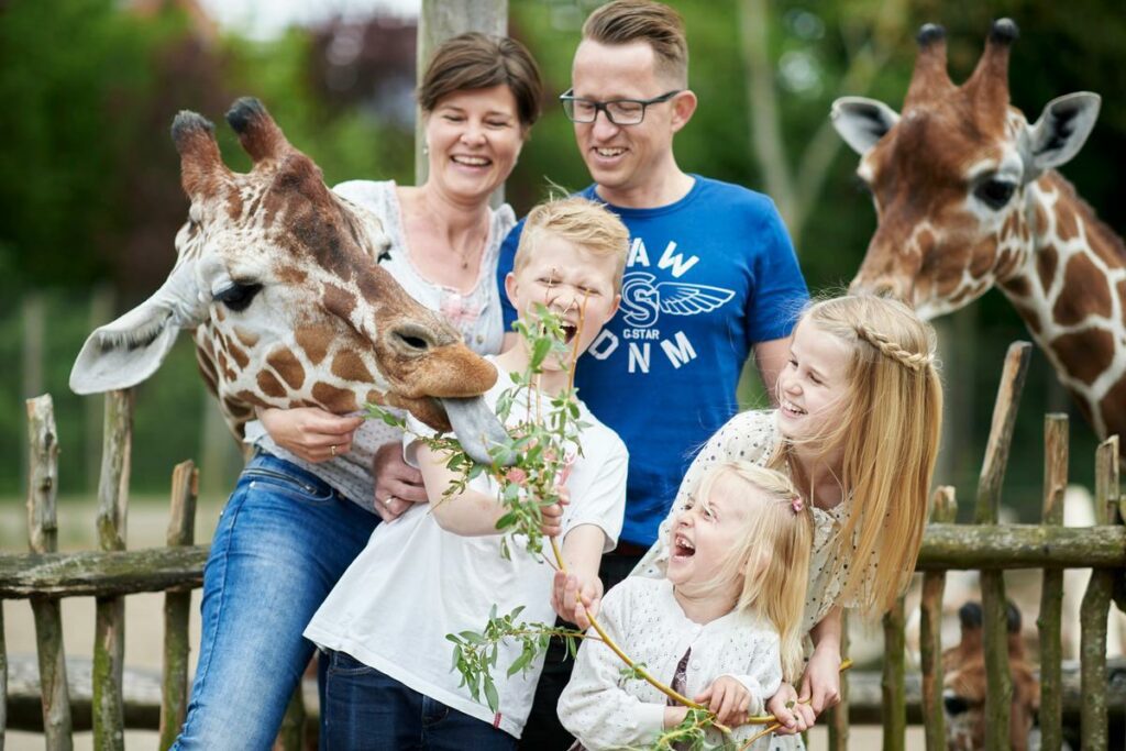 Giraffodring i Odense Zoo