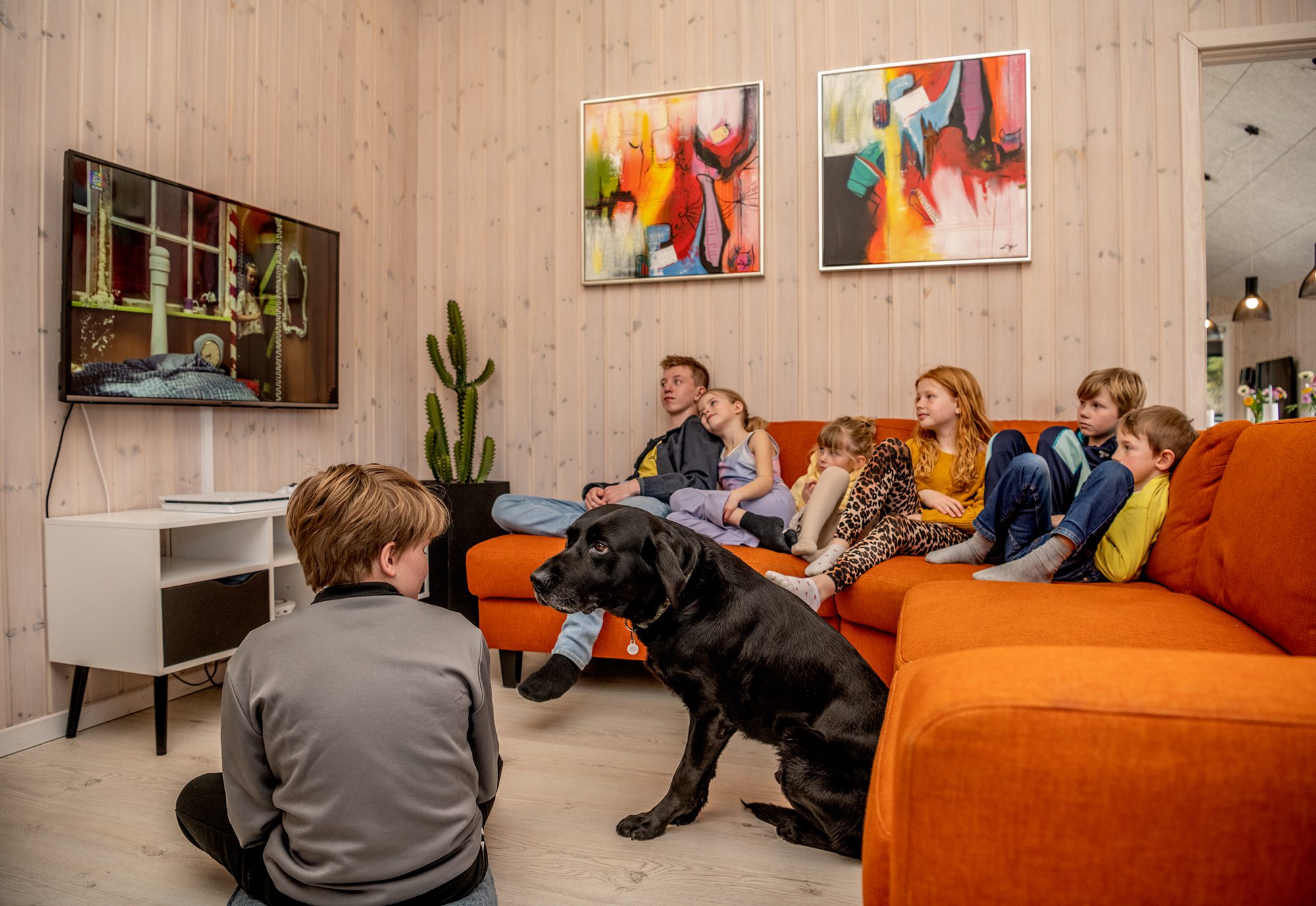 Tag din hund med i sommerhus
