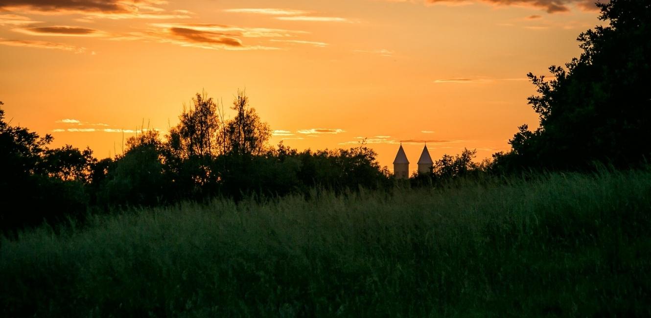 Viborg Domkirke