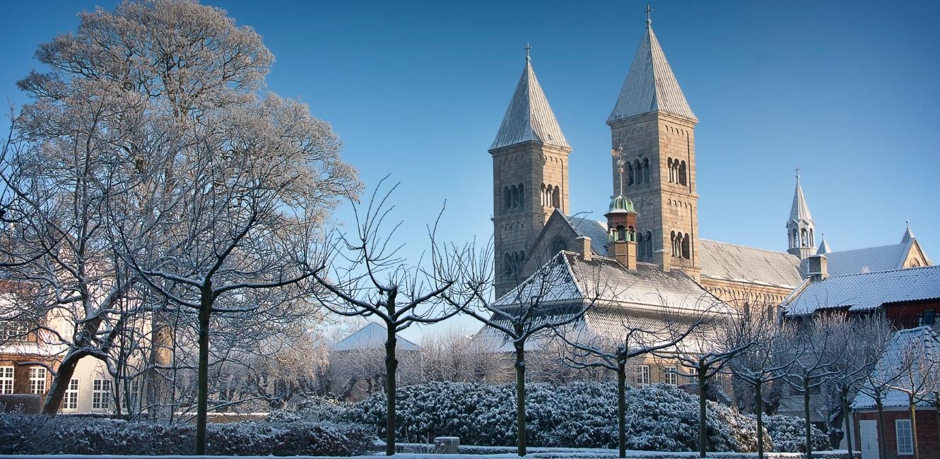 Vinter ved Viborg Domkirke