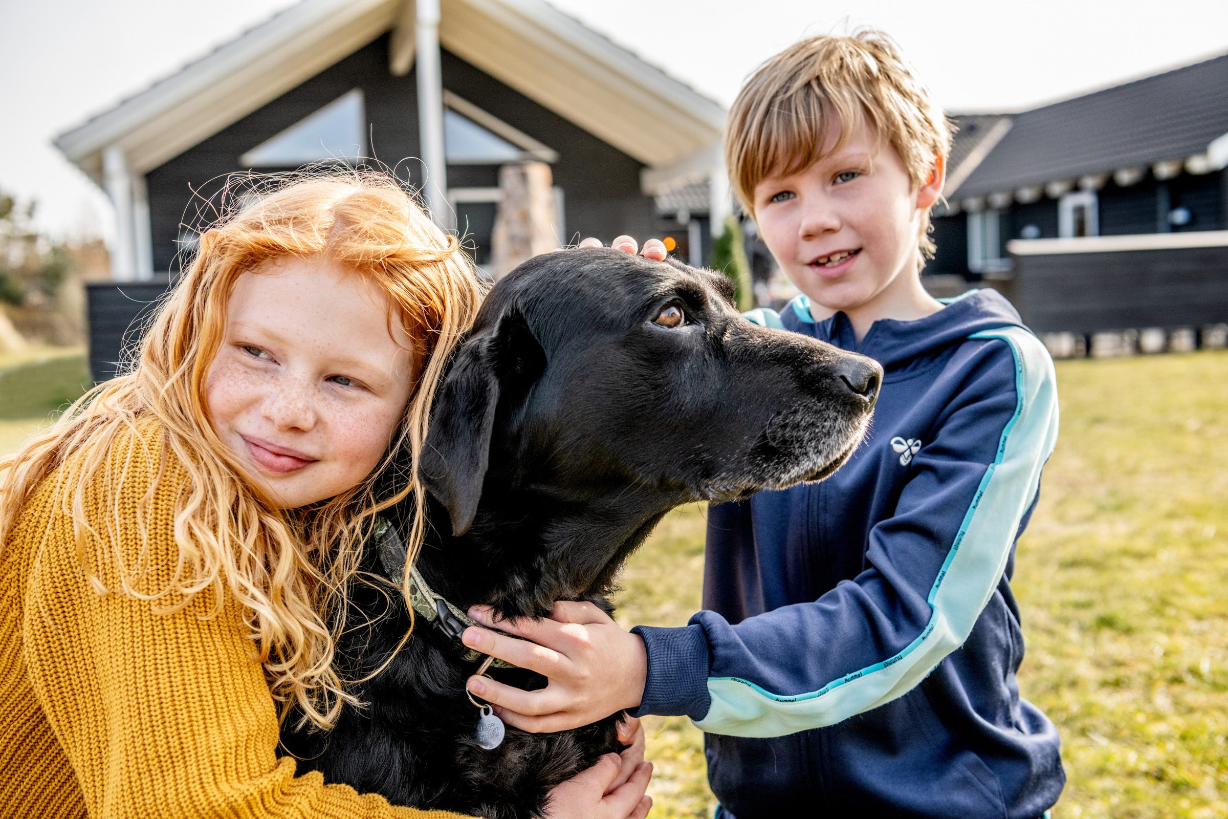 Hund i sommerhuset