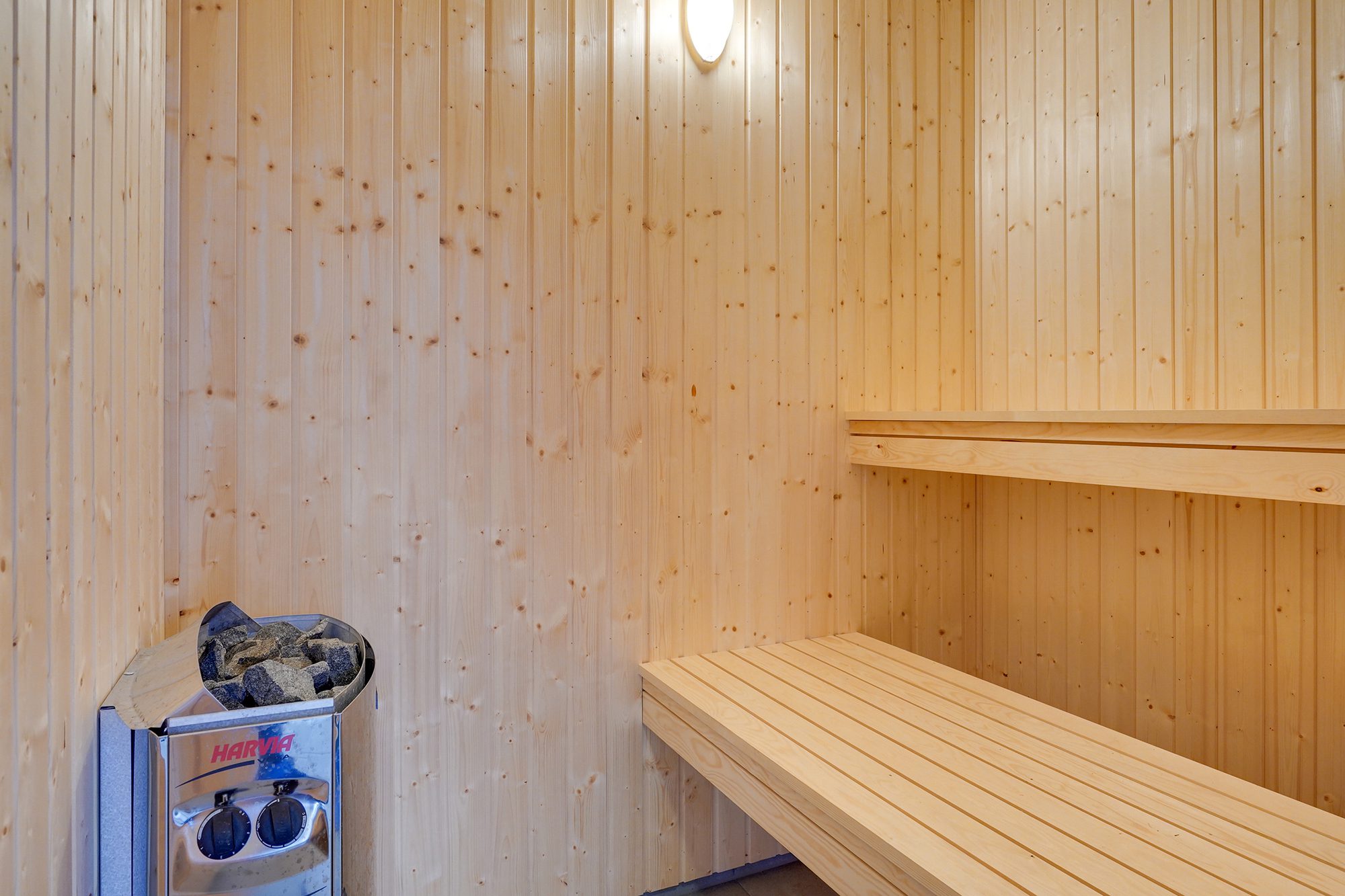 Store sommerhuse med sauna