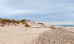 Stranden ved Bjerregård i Vestjylland