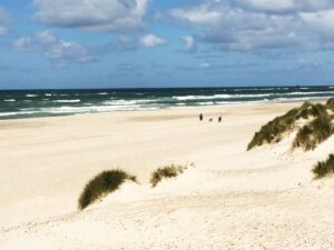 Stranden i Henne - sommerhusudlejning i Henne Strand