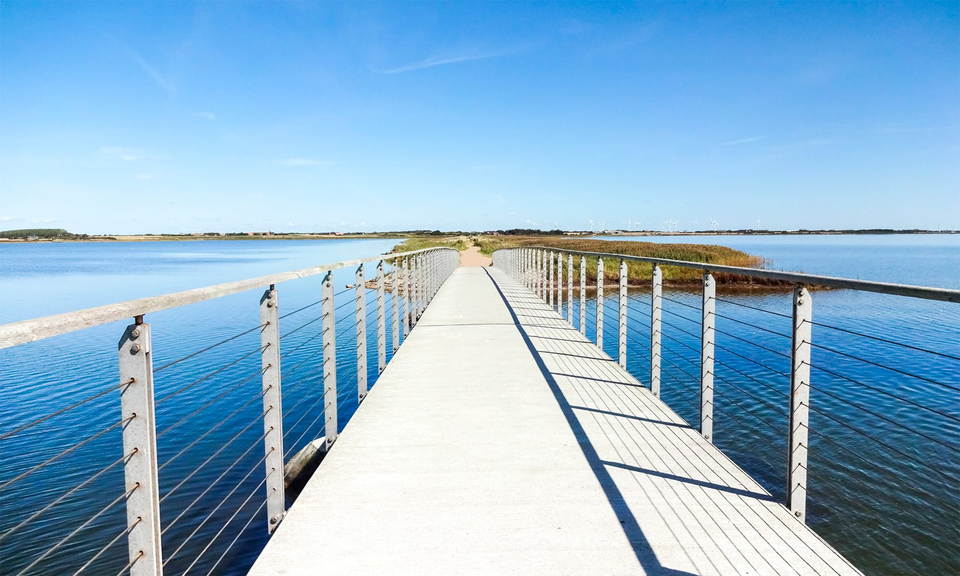 Ringkøbing Fjord