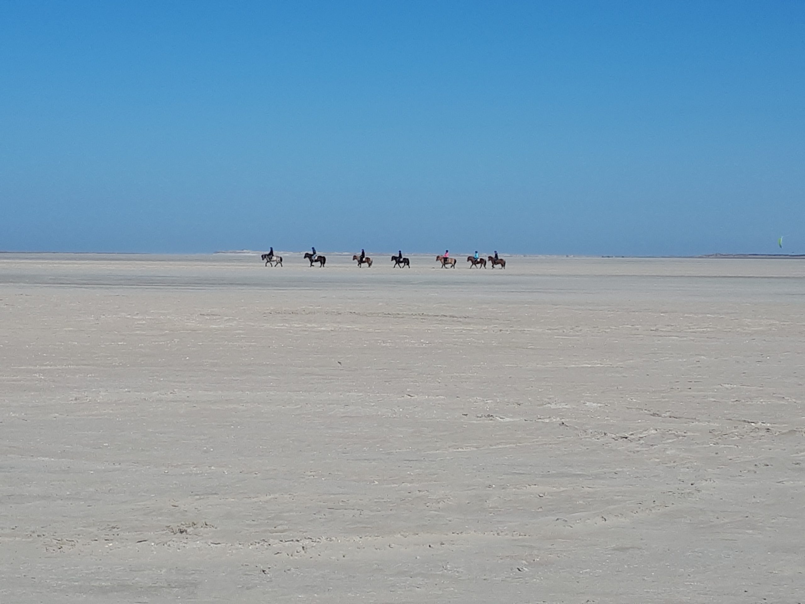 Strand på Rømø