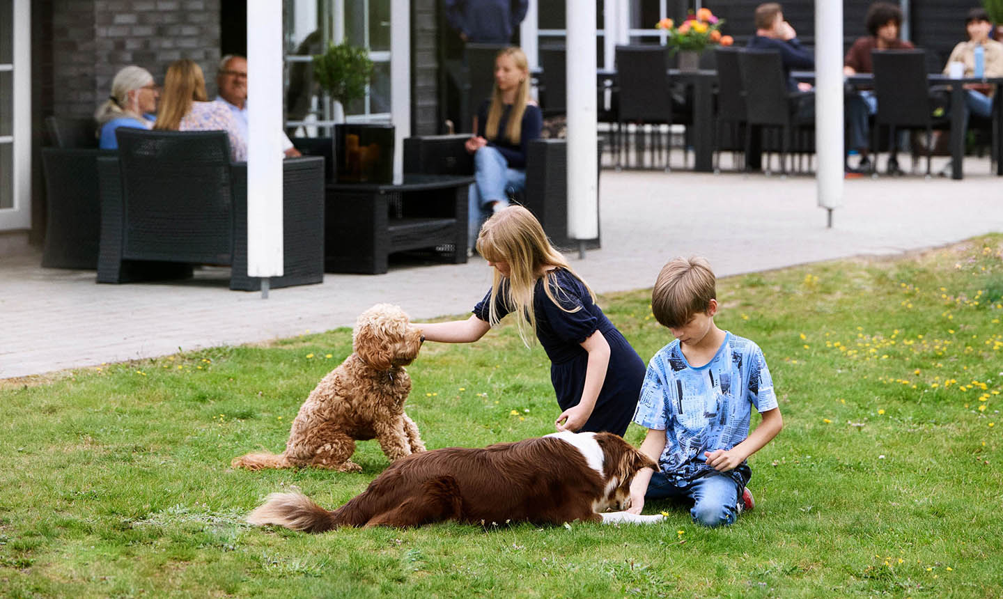 Børn leger med hunde ved sommerhuset