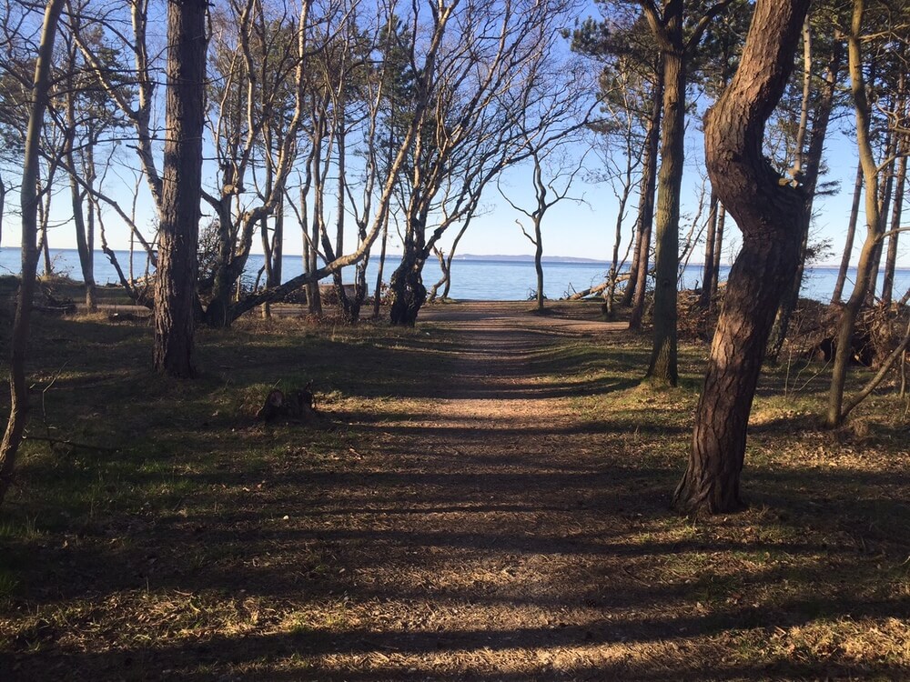 Det skønne område Nordsjælland indbyder til et ophold i luksushus nr. 312.