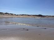 Den dejlige strand nær luksushus 346 ved Nordsjælland.