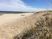 Stranden nær luksushus nr. 365.
