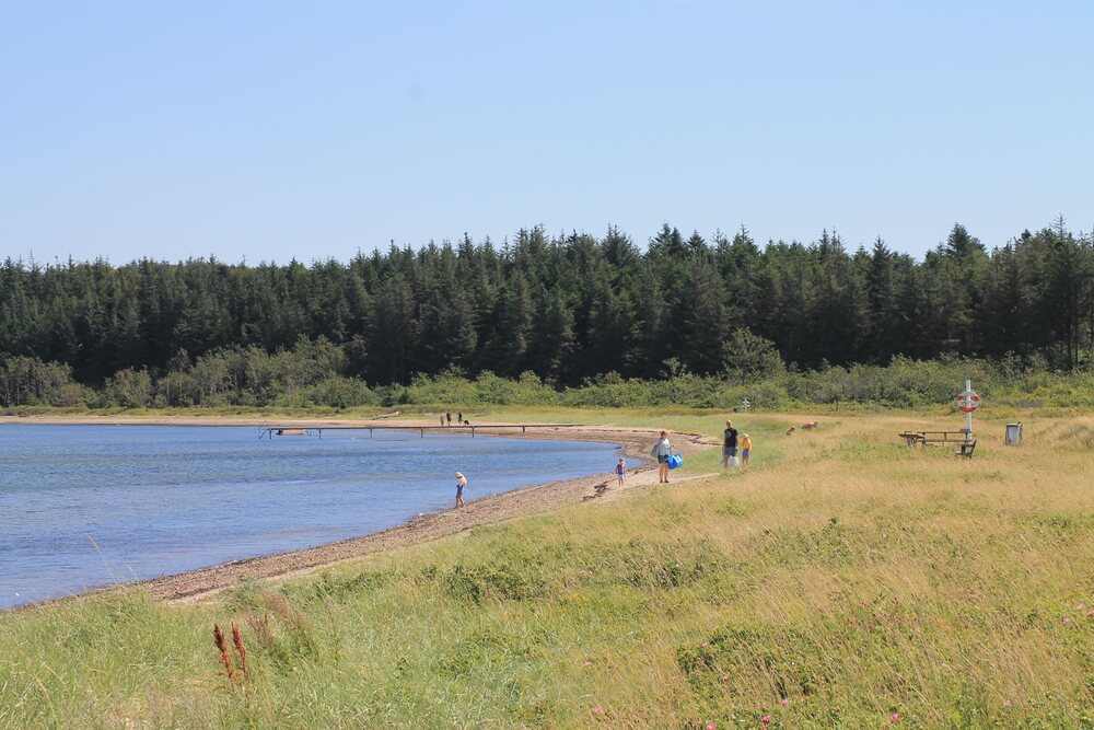 Stranden nær luksushus nr. 373.