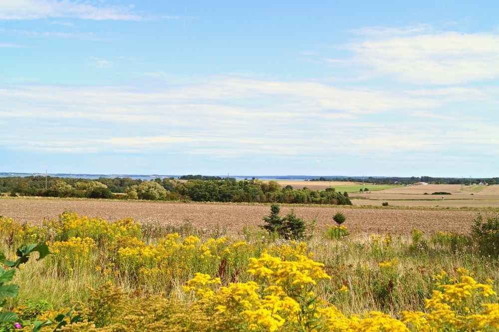 Besøg luksushus 395 i Nordsjælland.
