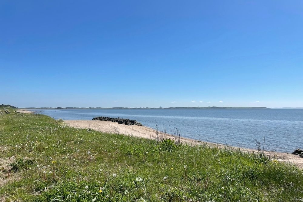 Den dejlige strand nær luksushus 404 ved Limfjorden.