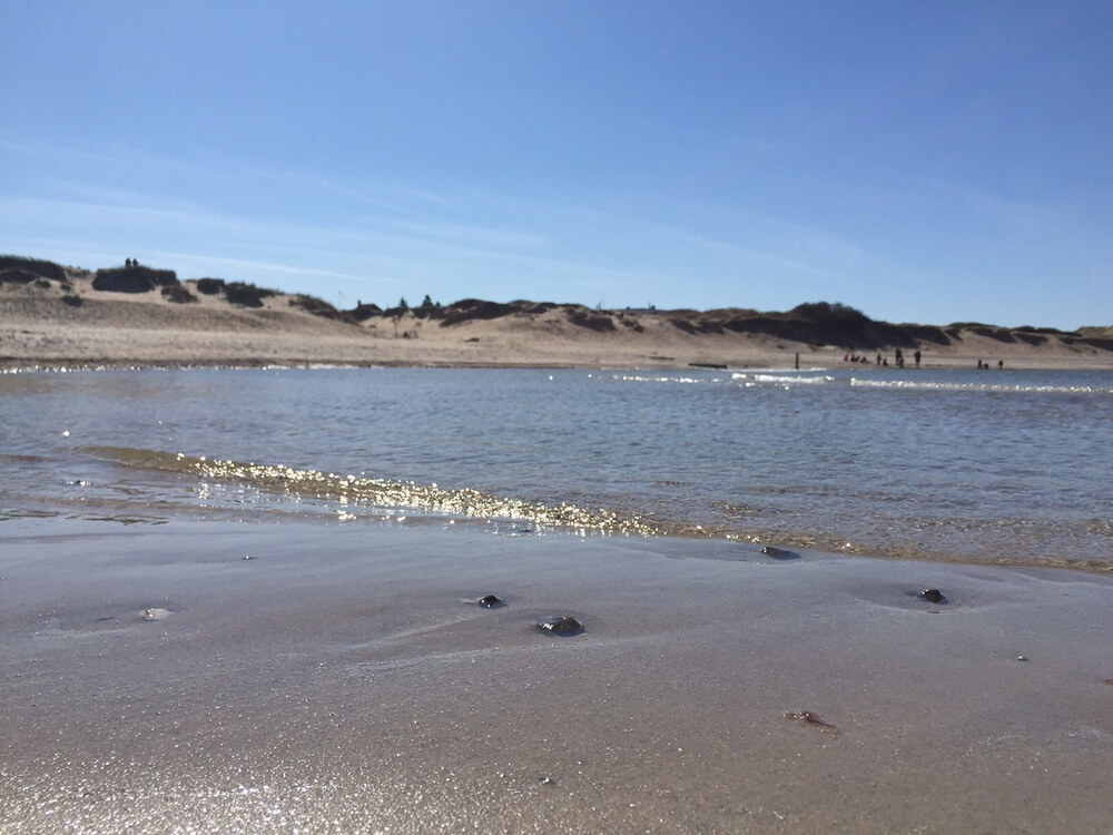 Den dejlige strand nær luksushus 438 ved Nordsjælland.