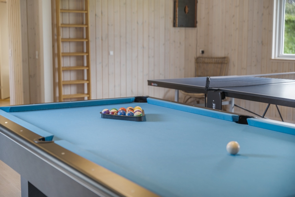 Luksushus 440 til 24 personer byder på et stort aktivitetsrum med bl.a. billard og dart