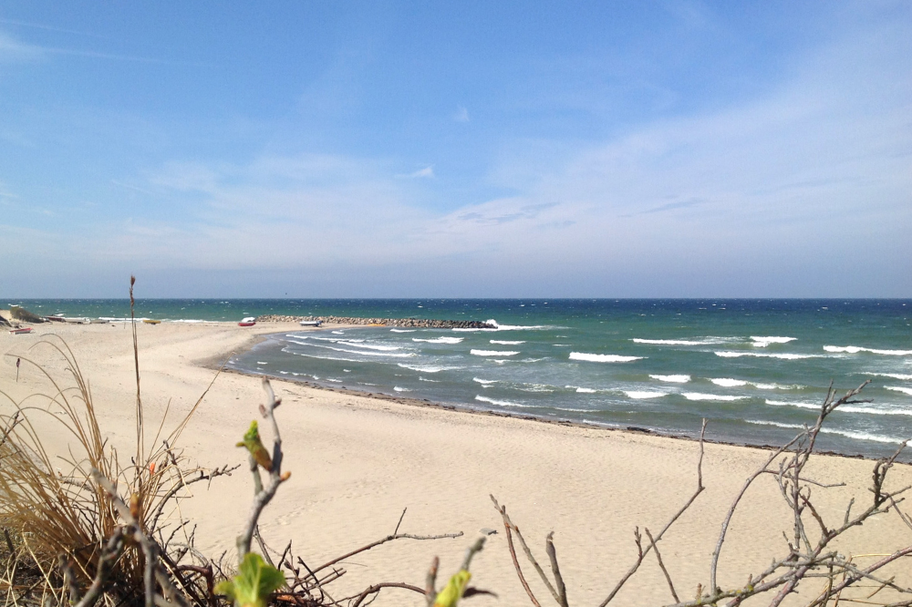 Den dejlige strand nær luksushus 436 ved Nordsjælland.