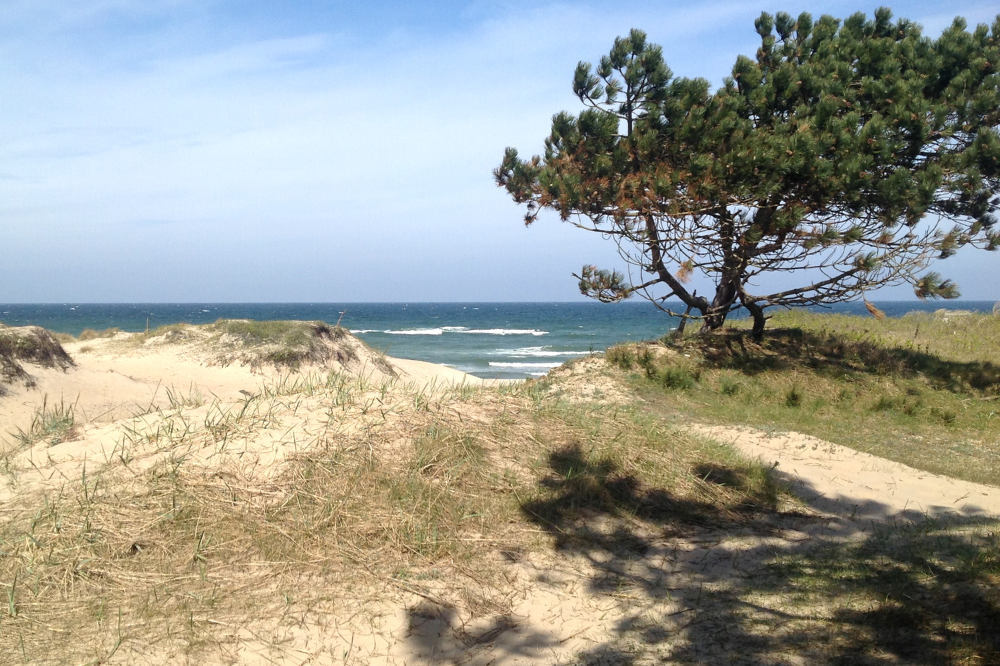Stranden nær luksushus nr. 436.