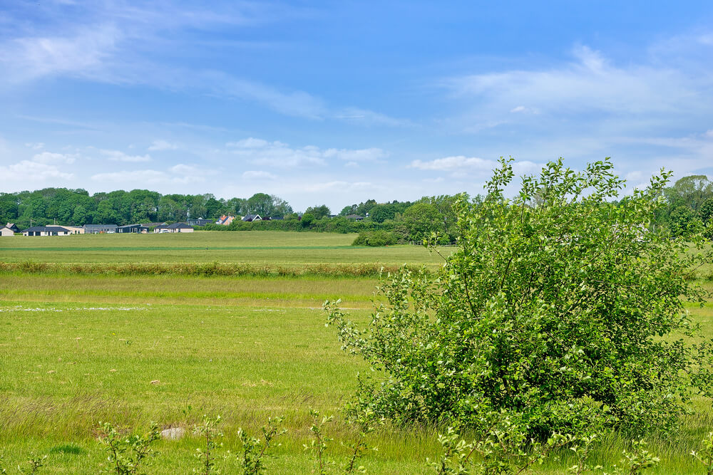 Dejligt sommerhus nr. 443 