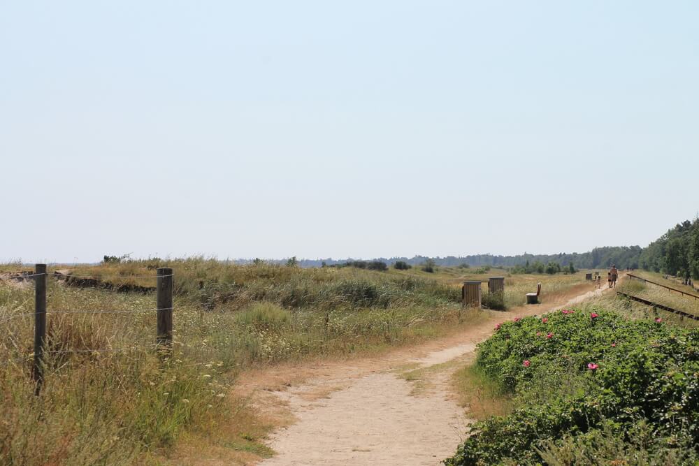 Den dejlige strand nær luksushus 445 ved Lolland/Falster/Møn.