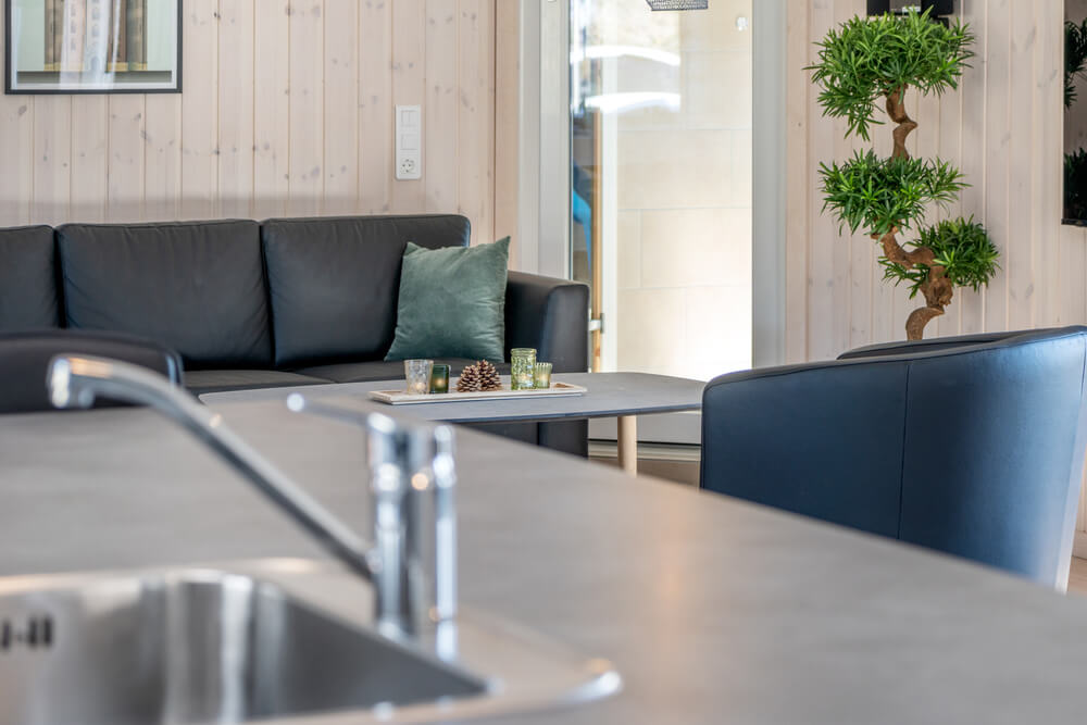 Opholdsrum med plads til 20 i luksushus nr. 731.