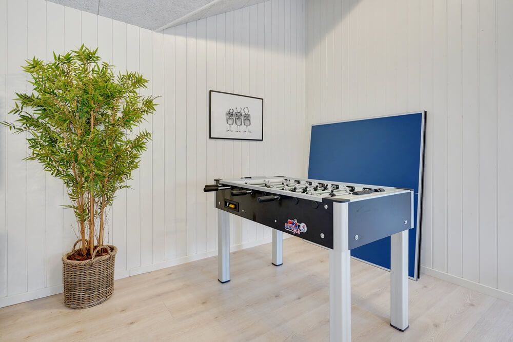 Dyst i sommerhusets aktivitetsrum, når I besøger luksushus nr. 509 i Lolland/Falster/Møn.