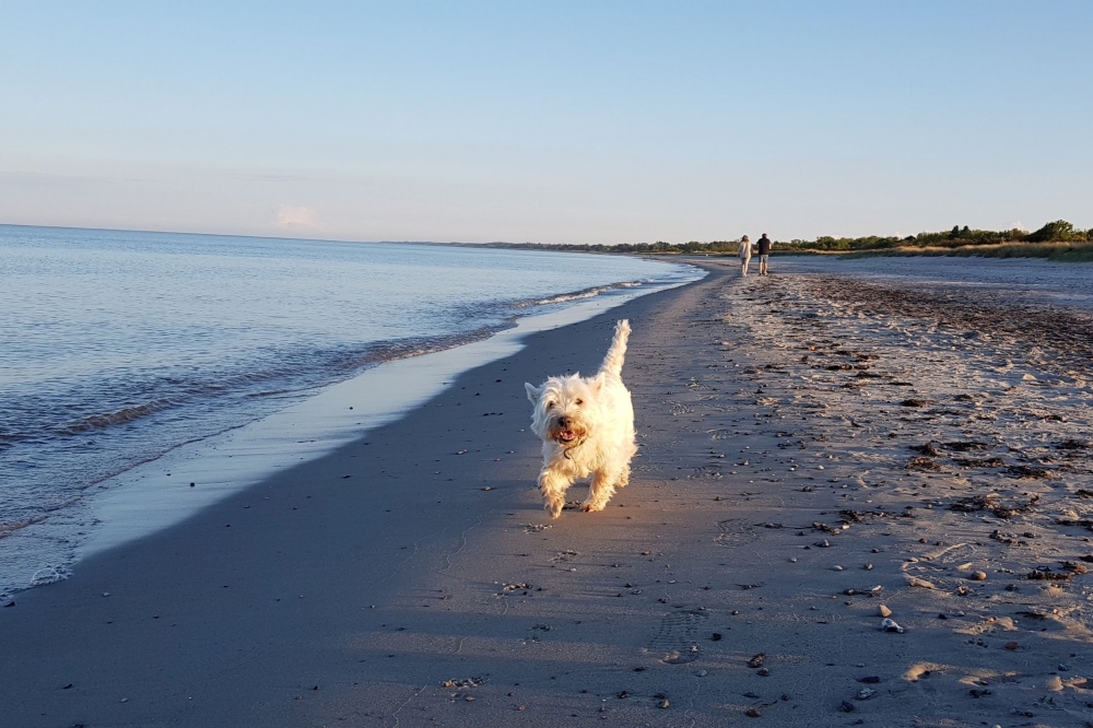 Stranden nær luksushus nr. 515.