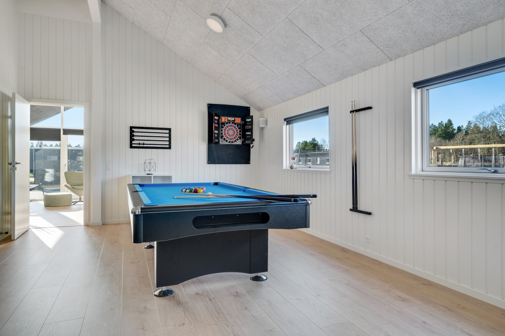 Ud over de mange timer, man kan bruge i husets pool-afdeling, så byder luksushus 560 også på billard/bordtennis og dart