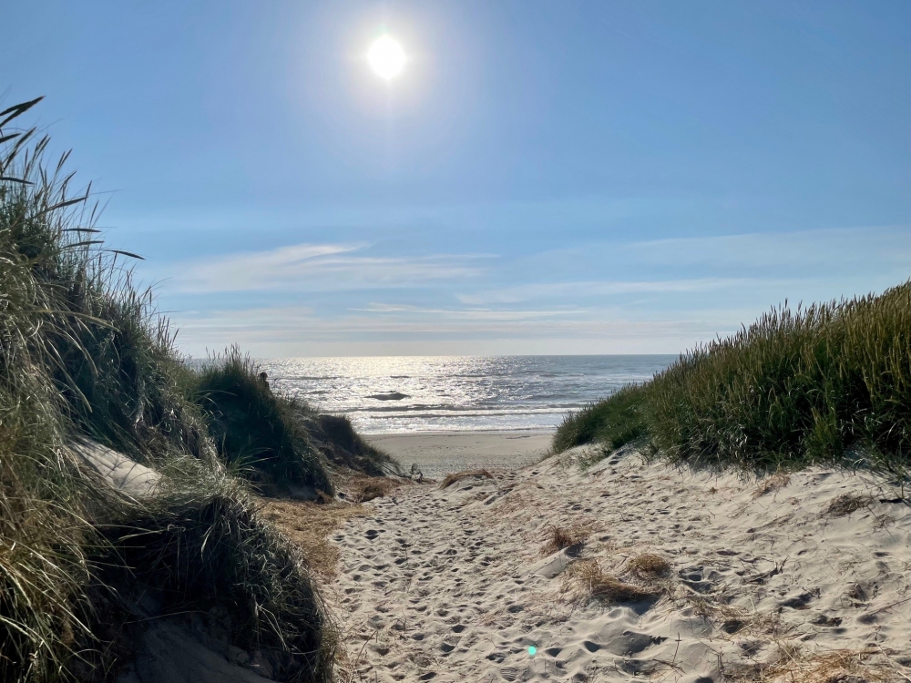 Den dejlige strand nær luksushus 557 ved Vestjylland.