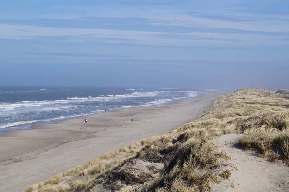 Stranden nær luksushus nr. 557.