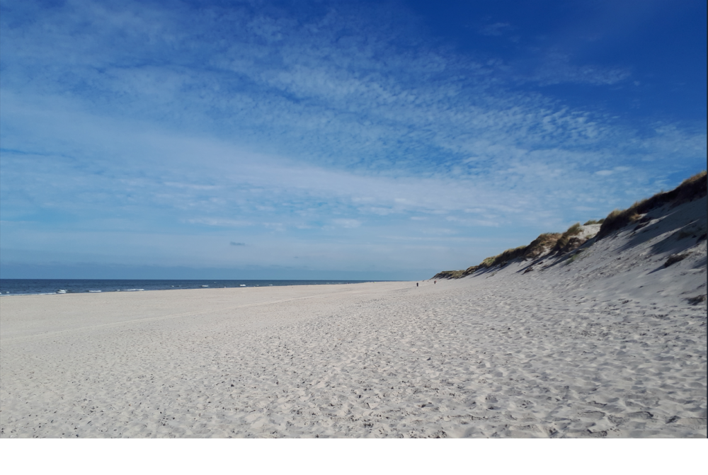Den dejlige strand nær luksushus 585 ved Vestjylland.