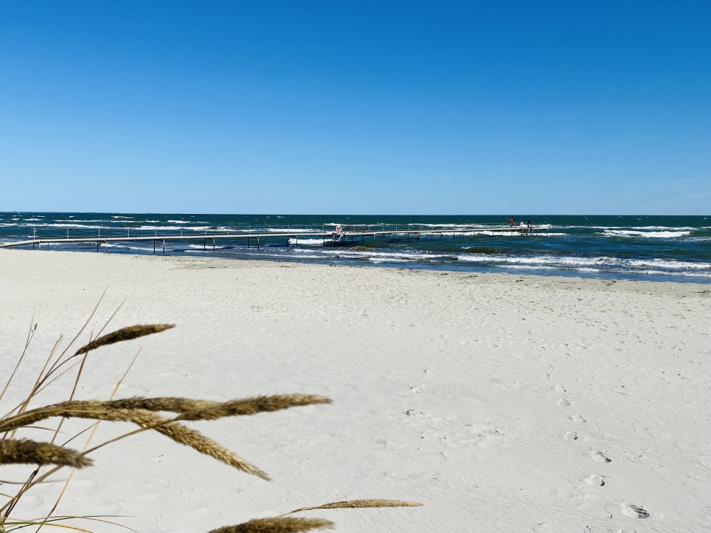 Stranden nær luksushus nr. 602.