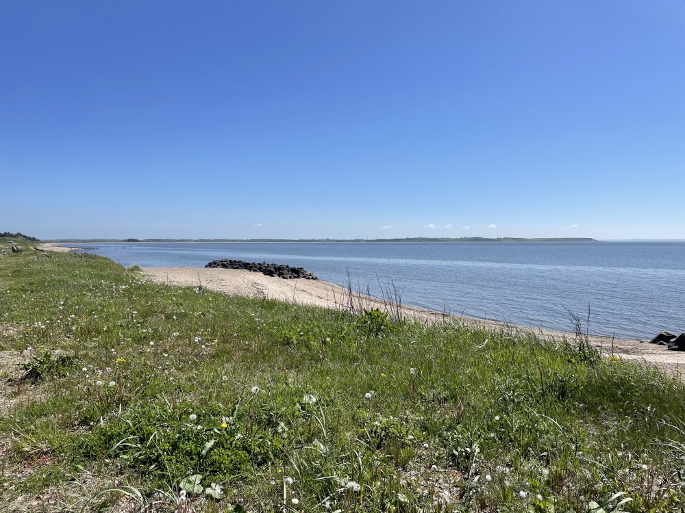 Den dejlige strand nær luksushus 603 ved Limfjorden.
