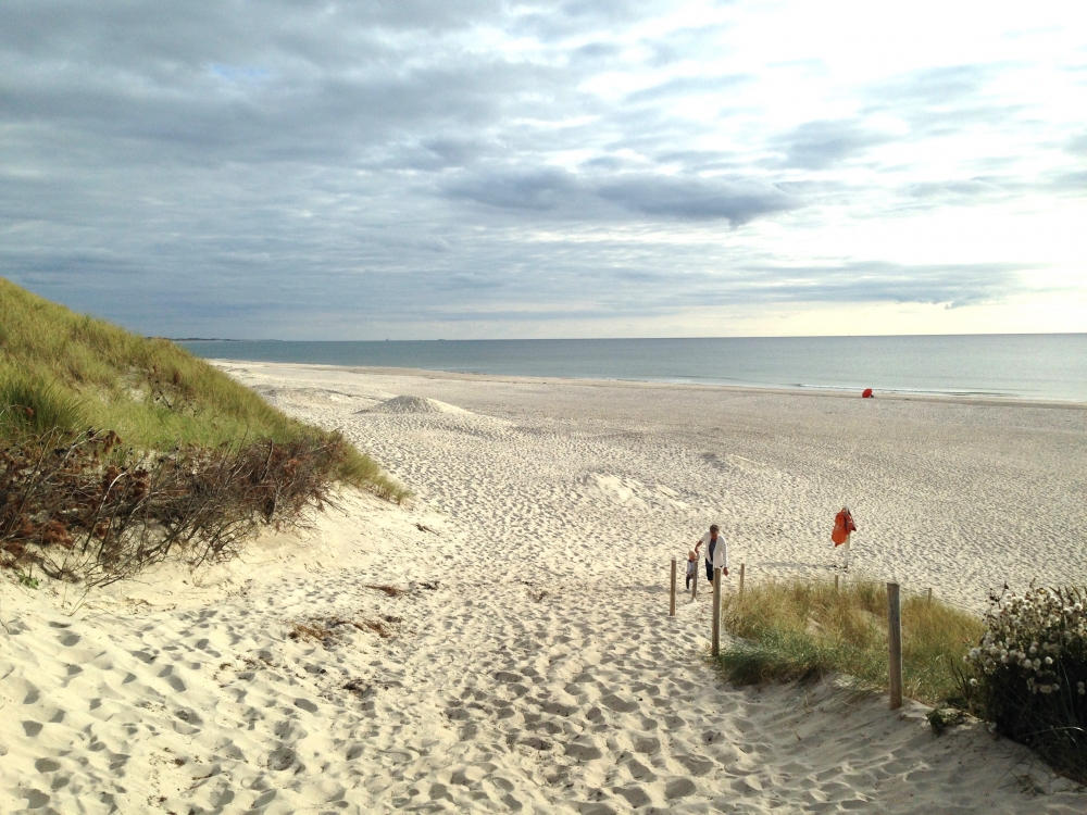Området omkring Vestjylland hvor luksushus nr. 610 ligger.