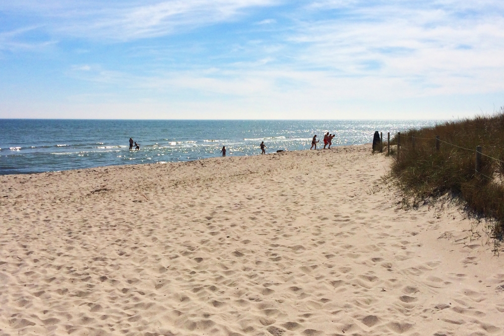 Den dejlige strand nær luksushus 626 ved Lolland/Falster/Møn.