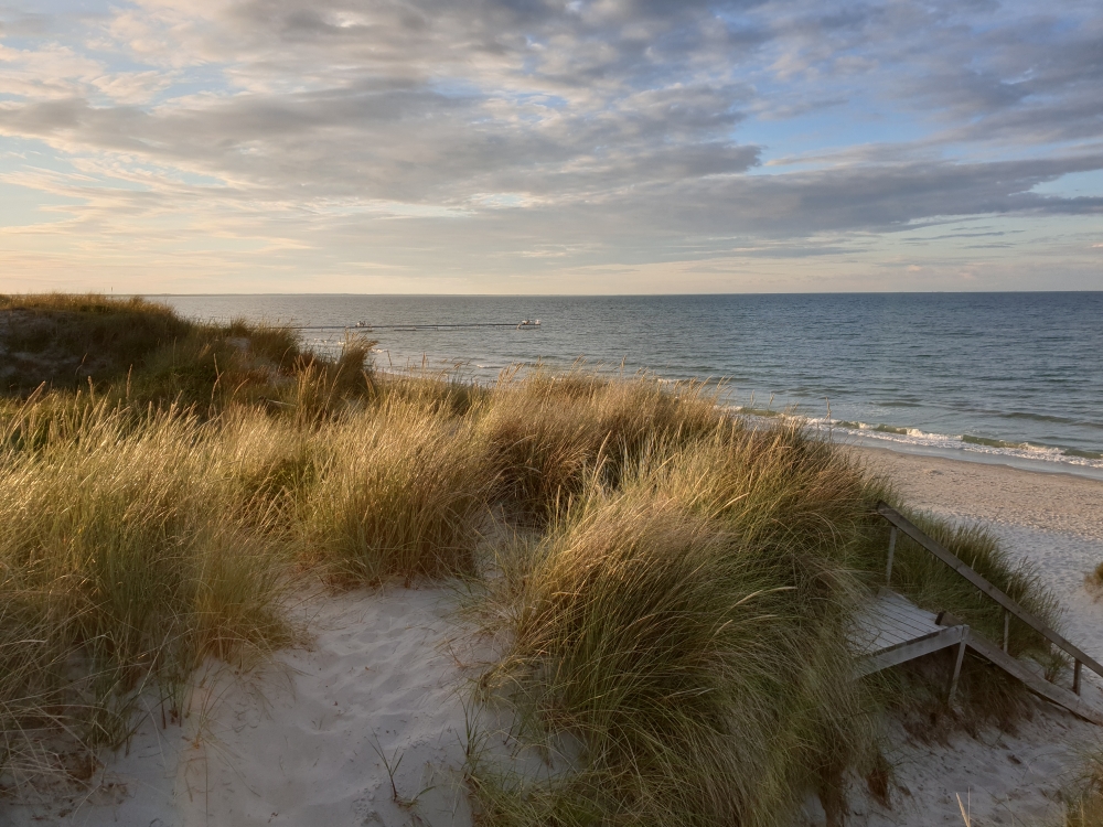 Området omkring Nordjylland hvor luksushus nr. 628 ligger.