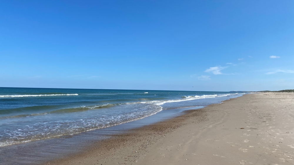 Den dejlige strand nær luksushus 651 ved Nordjylland.