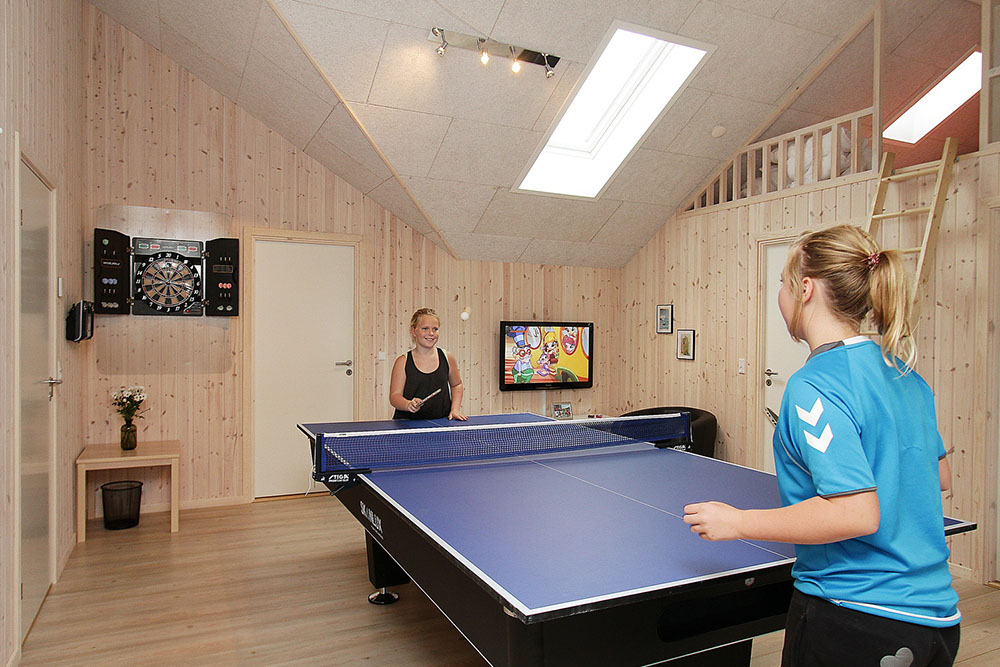 Der er sørget for underholdningen til hele familien med billard/bordtennis og dart i aktivitetrummet