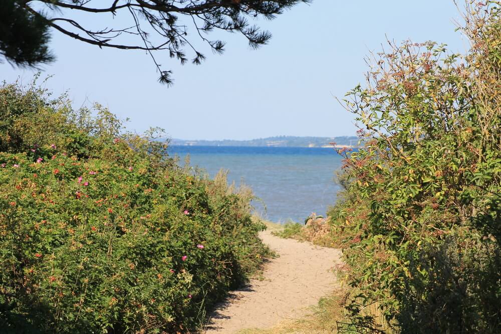 Stranden nær luksushus nr. 264.