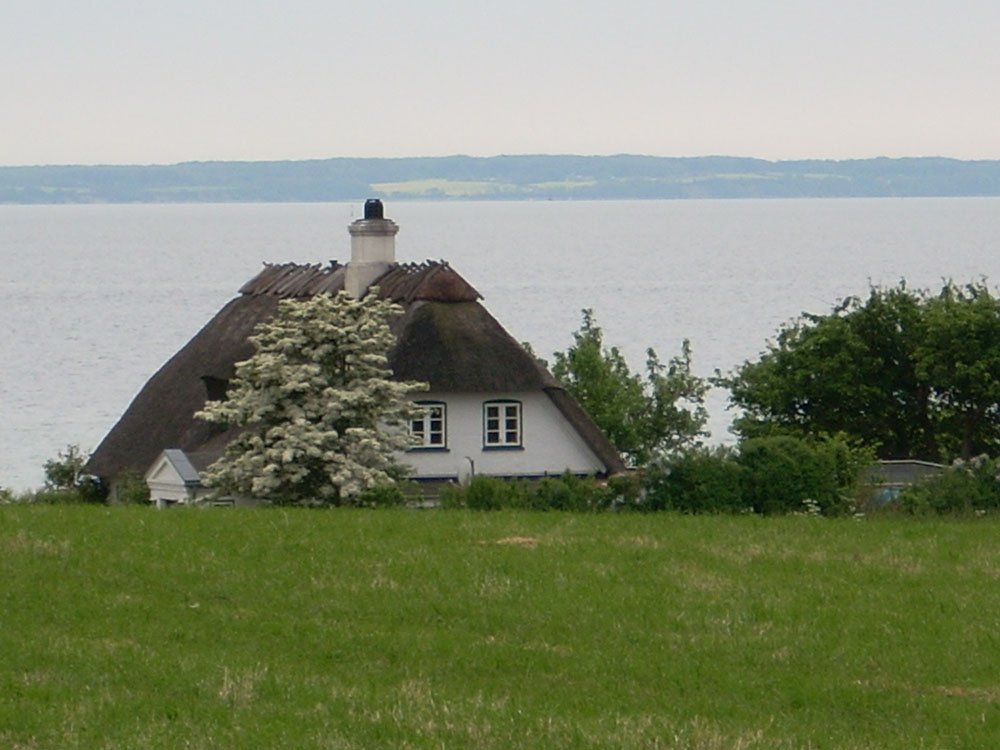 Det skønne område Sydjylland indbyder til et ophold i luksushus nr. 241.