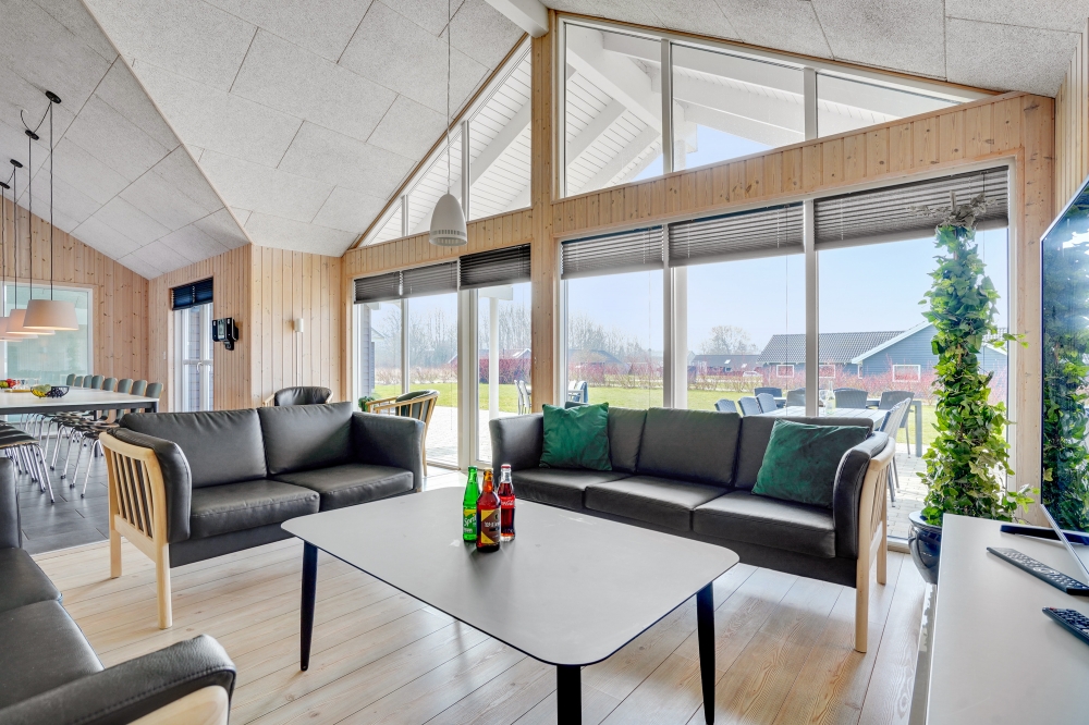 Der er mulighed for hygge i sommerhusets sofaarrangement, når I besøger luksushus nr. 260