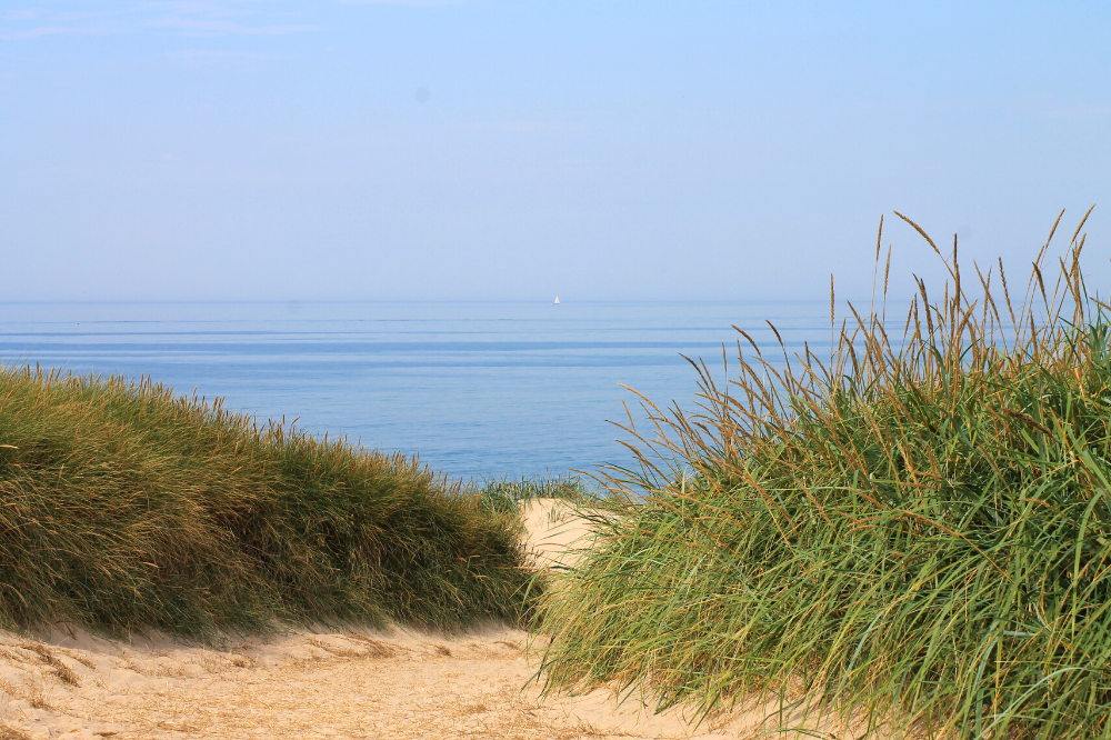 Den dejlige strand nær luksushus 293 ved Vestjylland.