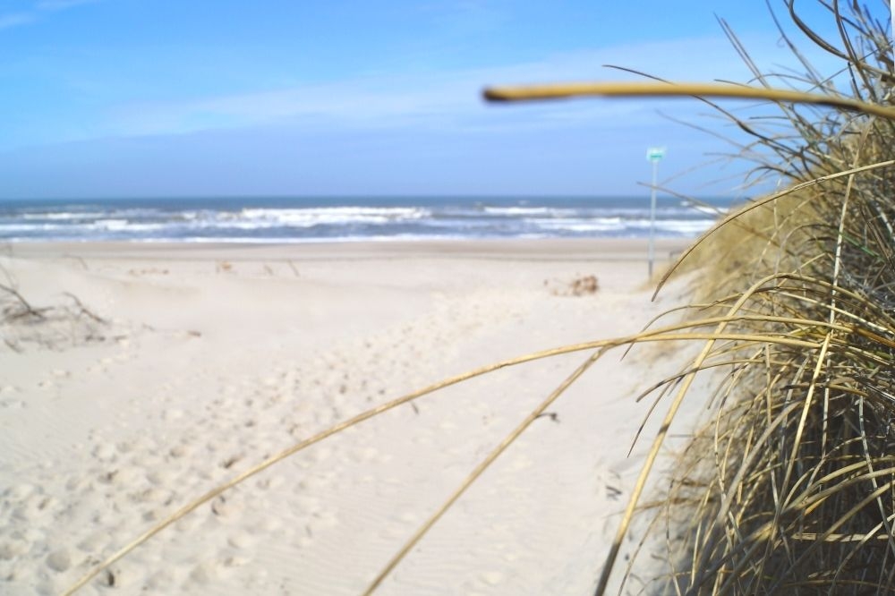 Stranden nær luksushus nr. 135 i Vestjylland indbyder til en gåtur.