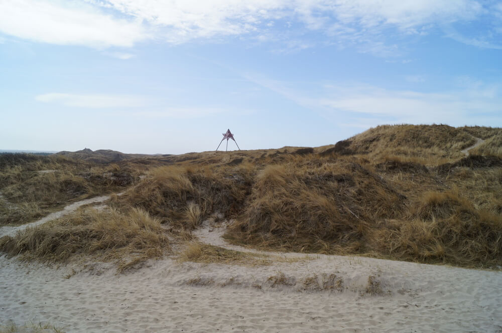 Stranden nær luksushus nr. 146 i Vestjylland indbyder til en gåtur.
