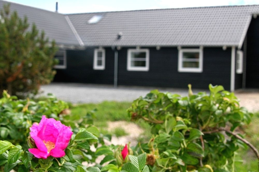 Flot sommerhus nr. 168 med god plads til op til 24 personer