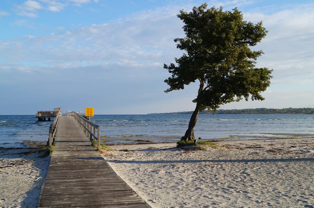 Stranden nær luksushus nr. 126 i Sverige indbyder til en gåtur.