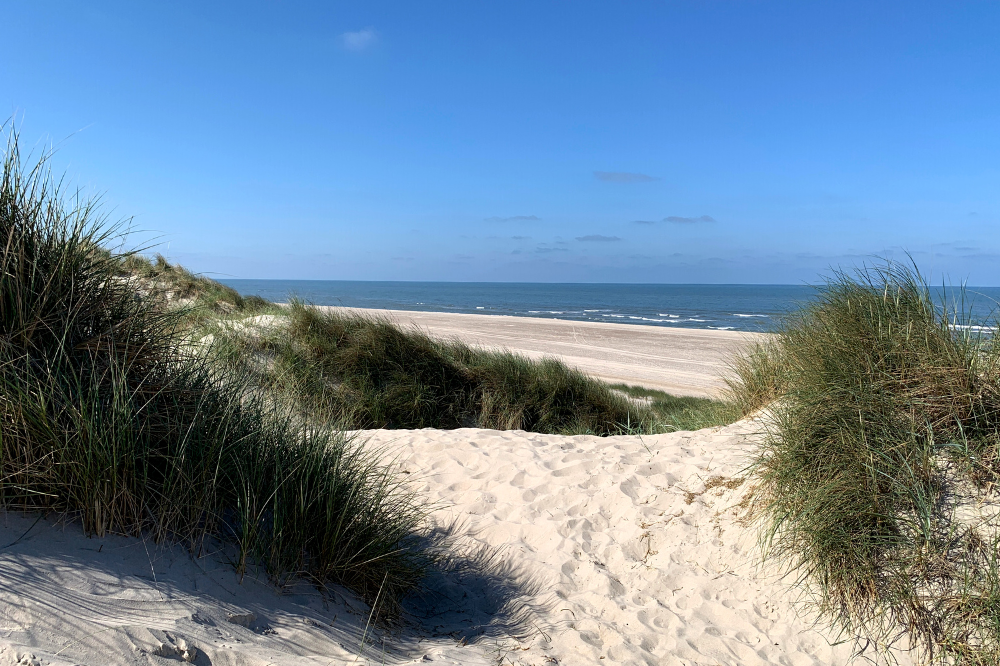 Stranden nær luksushus nr. 247.